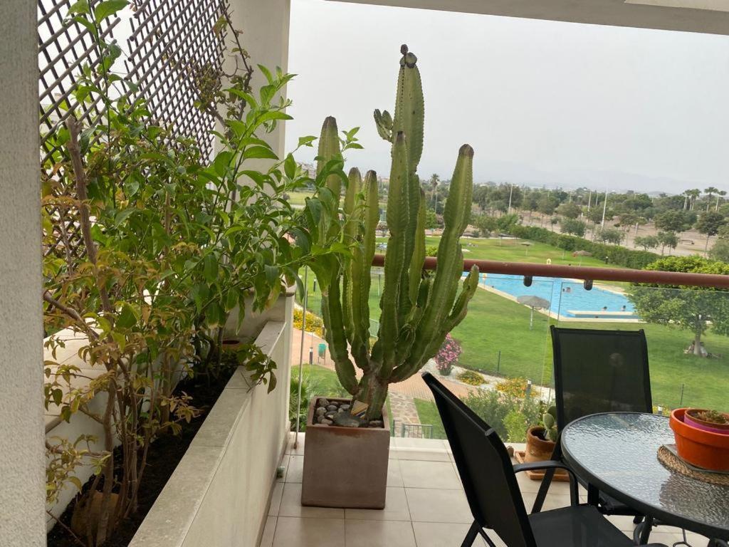 Apartament Apartamento Cabo De Gata-Toyo Retamar  Zewnętrze zdjęcie