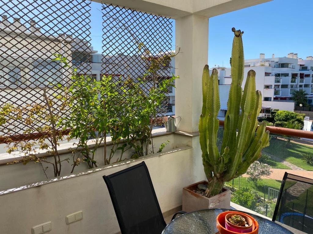 Apartament Apartamento Cabo De Gata-Toyo Retamar  Zewnętrze zdjęcie